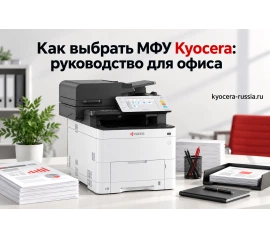 Как выбрать МФУ Kyocera: руководство для офиса